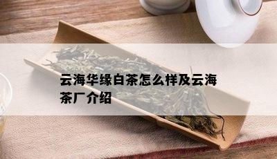 云海华缘白茶怎么样及云海茶厂介绍