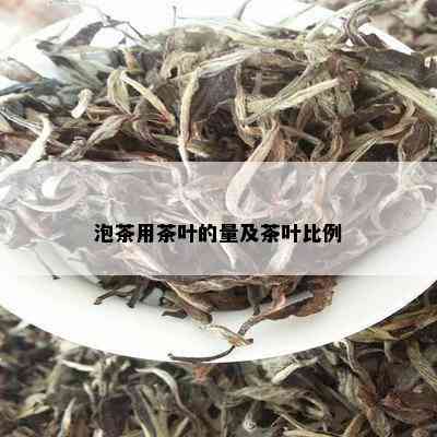 泡茶用茶叶的量及茶叶比例