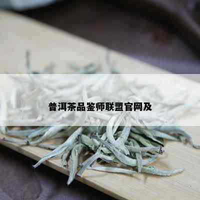 普洱茶品鉴师联盟官网及