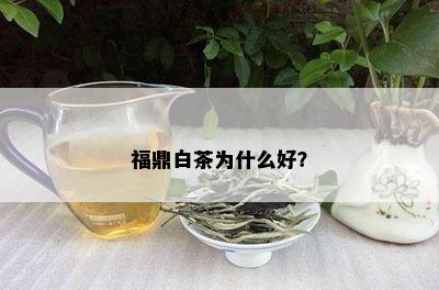 福鼎白茶为什么好？