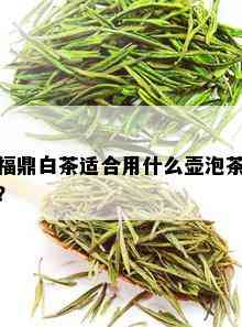 福鼎白茶适合用什么壶泡茶？