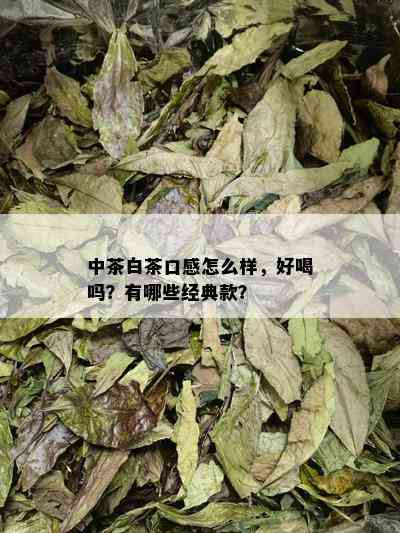 中茶白茶口感怎么样，好喝吗？有哪些经典款？