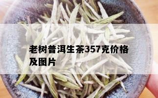 老树普洱生茶357克价格及图片