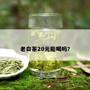 老白茶20元能喝吗？