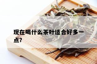 现在喝什么茶叶适合好多一点？