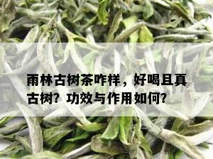 雨林古树茶咋样，好喝且真古树？功效与作用如何？