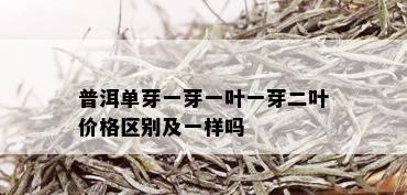 普洱单芽一芽一叶一芽二叶价格区别及一样吗