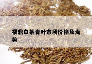 福鼎白茶青叶市场价格及走势