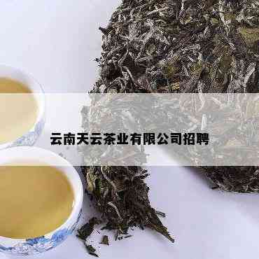 云南天云茶业有限公司招聘