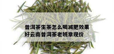 普洱茶生茶怎么喝减肥效果好云南普洱茶老班章现价