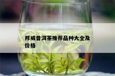 邦威普洱茶推荐品种大全及价格