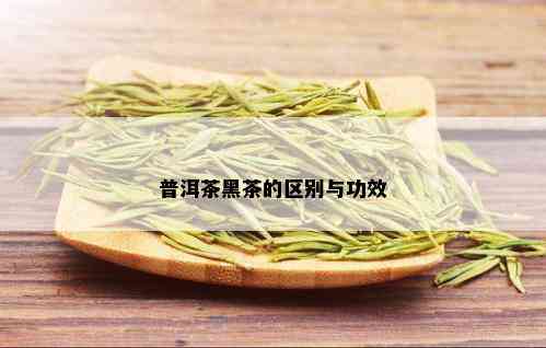 普洱茶黑茶的区别与功效