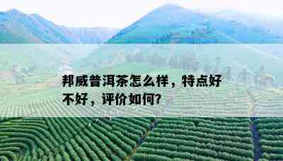 邦威普洱茶怎么样，特点好不好，评价如何？