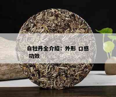 白牡丹全介绍：外形 口感 功效