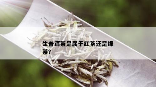 生普洱茶是属于红茶还是绿茶？