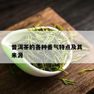 普洱茶的各种香气特点及其来源