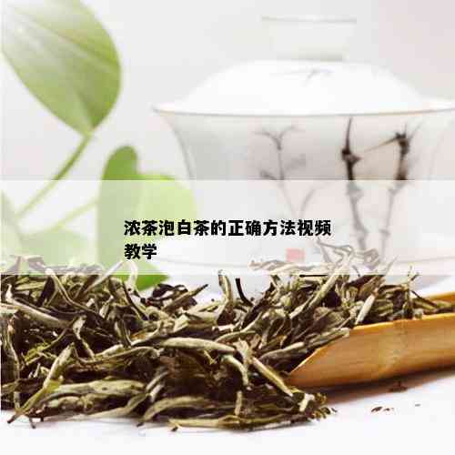 浓茶泡白茶的正确方法视频教学