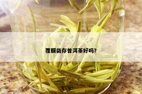 覆膜袋存普洱茶好吗？