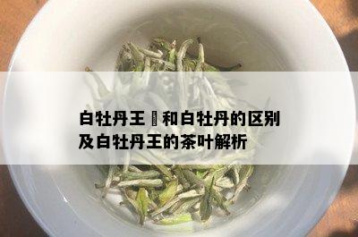 白牡丹王镃和白牡丹的区别及白牡丹王的茶叶解析