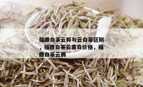 福鼎白茶云粹与云白茶区别，福鼎白茶云雾白价格，福鼎白茶云腾