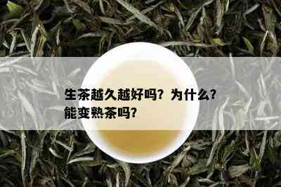 生茶越久越好吗？为什么？能变熟茶吗？