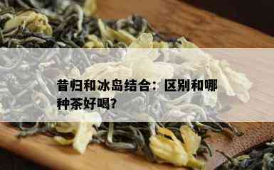 昔归和冰岛结合：区别和哪种茶好喝？