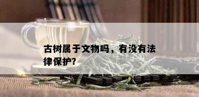 古树属于文物吗，有没有法律保护？