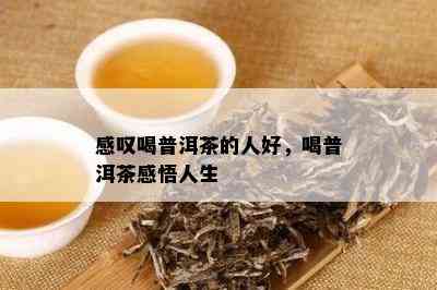 感叹喝普洱茶的人好，喝普洱茶感悟人生