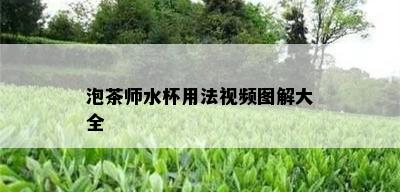 泡茶师水杯用法视频图解大全