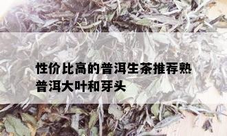 性价比高的普洱生茶推荐熟普洱大叶和芽头