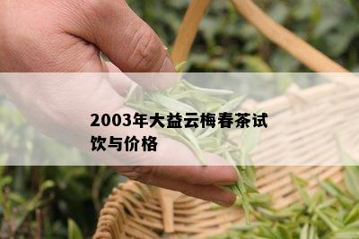 2003年大益云梅春茶试饮与价格