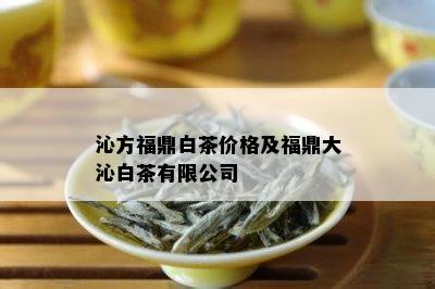 沁方福鼎白茶价格及福鼎大沁白茶有限公司