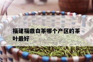 福建福鼎白茶哪个产区的茶叶更好