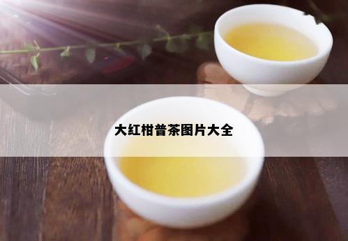 大红柑普茶图片大全