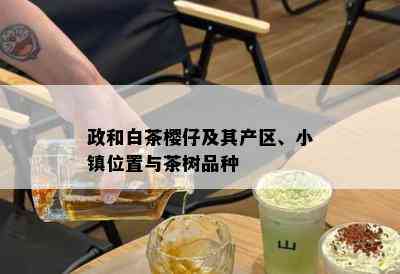 政和白茶樱仔及其产区、小镇位置与茶树品种