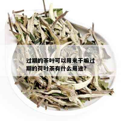 过期的茶叶可以用来干嘛过期的荷叶茶有什么用途?