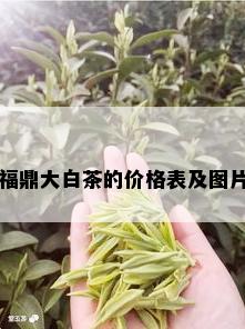 福鼎大白茶的价格表及图片