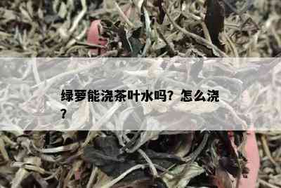 绿萝能浇茶叶水吗？怎么浇？