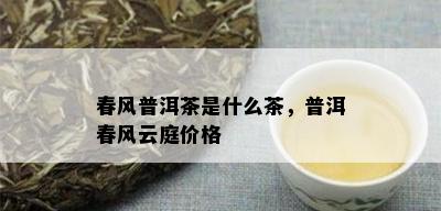 春风普洱茶是什么茶，普洱春风云庭价格