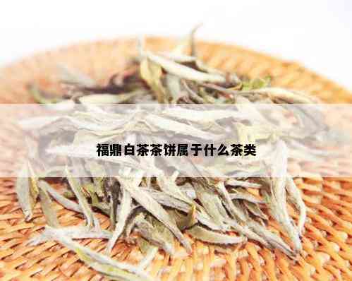 福鼎白茶茶饼属于什么茶类