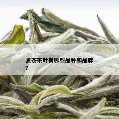 煮茶茶叶有哪些品种和品牌？