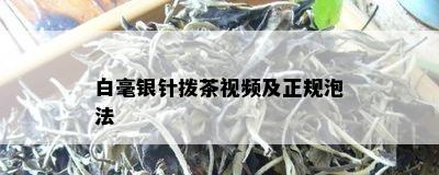 白毫银针拨茶视频及正规泡法