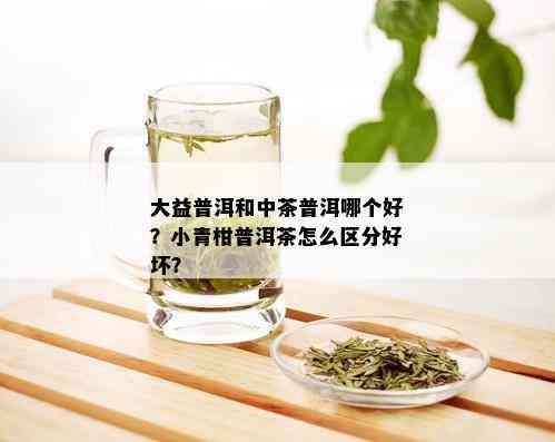 大益普洱和中茶普洱哪个好？小青柑普洱茶怎么区分好坏？