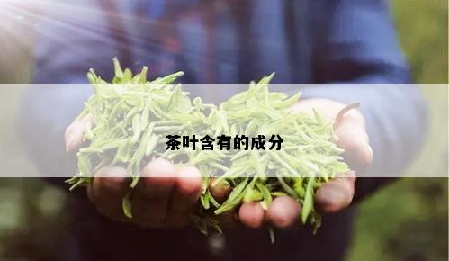 茶叶含有的成分