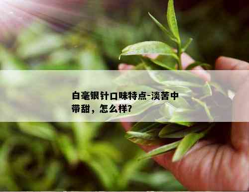 白毫银针口味特点-淡苦中带甜，怎么样？