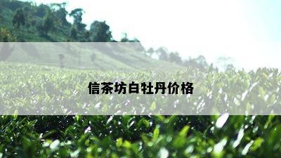 信茶坊白牡丹价格