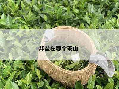 邦盆在哪个茶山 