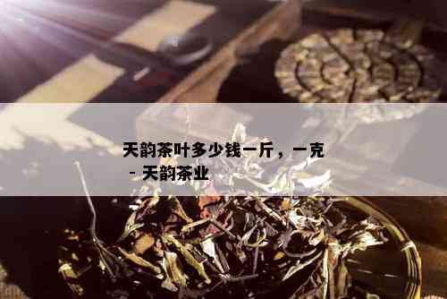 天韵茶叶多少钱一斤，一克 - 天韵茶业