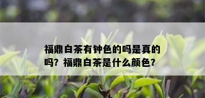 福鼎白茶有钟色的吗是真的吗？福鼎白茶是什么颜色？