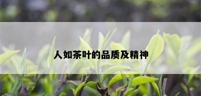 人如茶叶的品质及精神